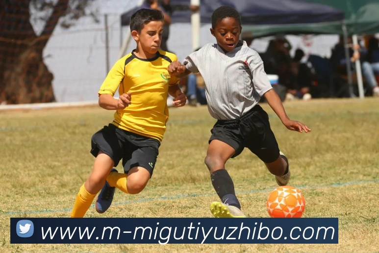 App Interface Preview